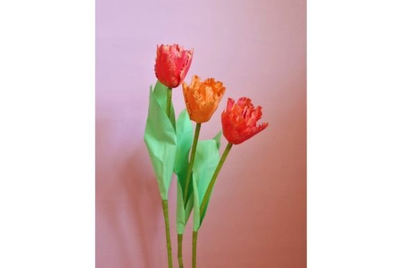 Double Fringed Tulip 3D SVG Paper Flowers